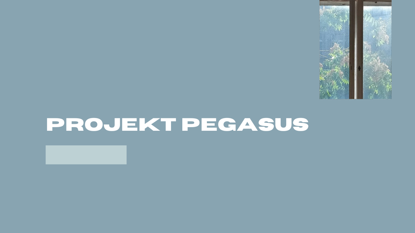 Projekt PEGASUS